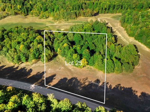 25 Heather Ridge Trl, Beulah, MI, 49617-8552 | Card Image