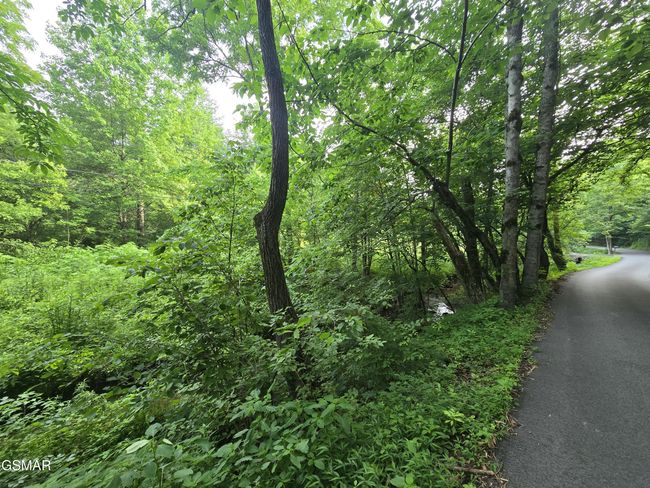 8 Mccarter Hollow Rd, Home with 0 bedrooms, 0 bathrooms and null parking in Sevierville TN | Image 20