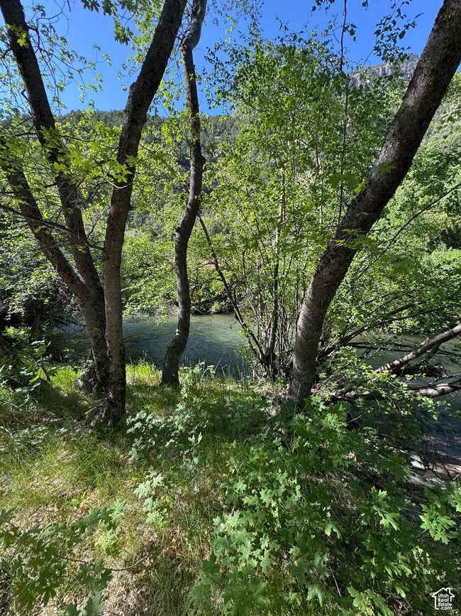 View of undeveloped land | Image 13