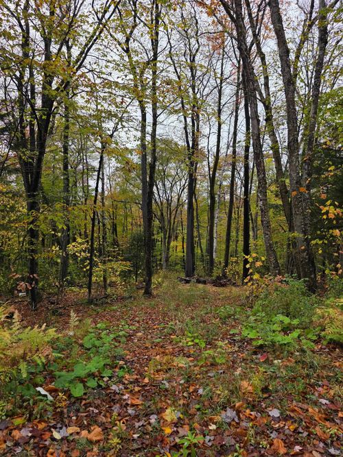 00 Heartwellville View Rd, Readsboro, VT, 05350 | Card Image