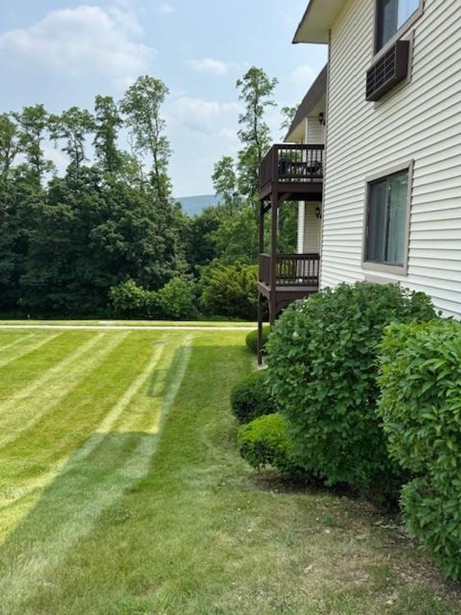 View of grassy yard | Image 20