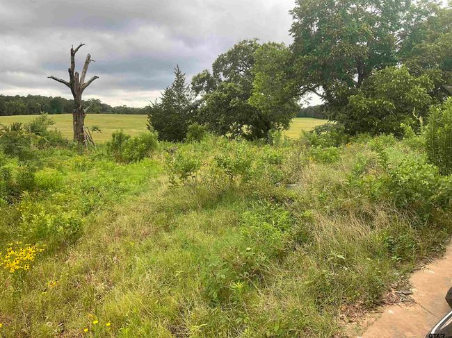 103 State Highway 64 E, Home with 0 bedrooms, 0 bathrooms and null parking in Arp TX | Image 14