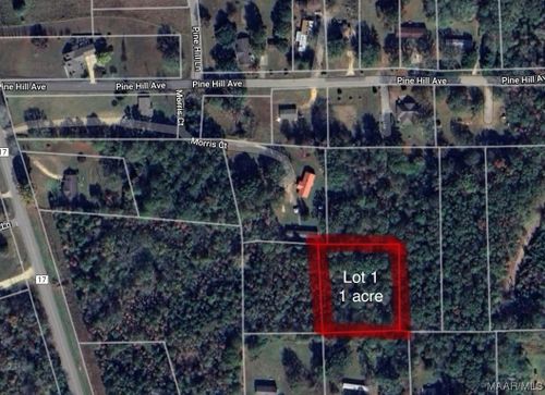 Lot 1 Morris Court, Hayneville, AL, 36040 | Card Image