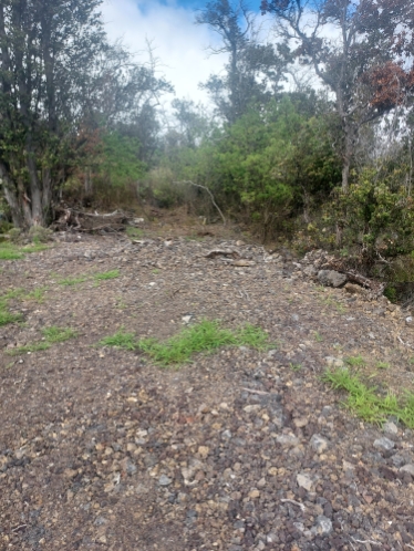 Land in Ocean View 4
