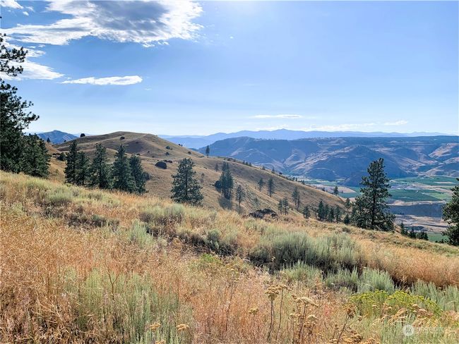 100 Pine Bluffs Ln, Home with 0 bedrooms, 0 bathrooms and null parking in Waterville WA | Image 28