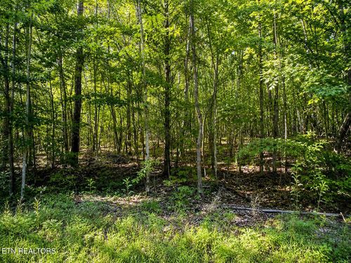 Lot 5 Keylon Hollow Road, Ten Mile, TN, 37880 | Card Image