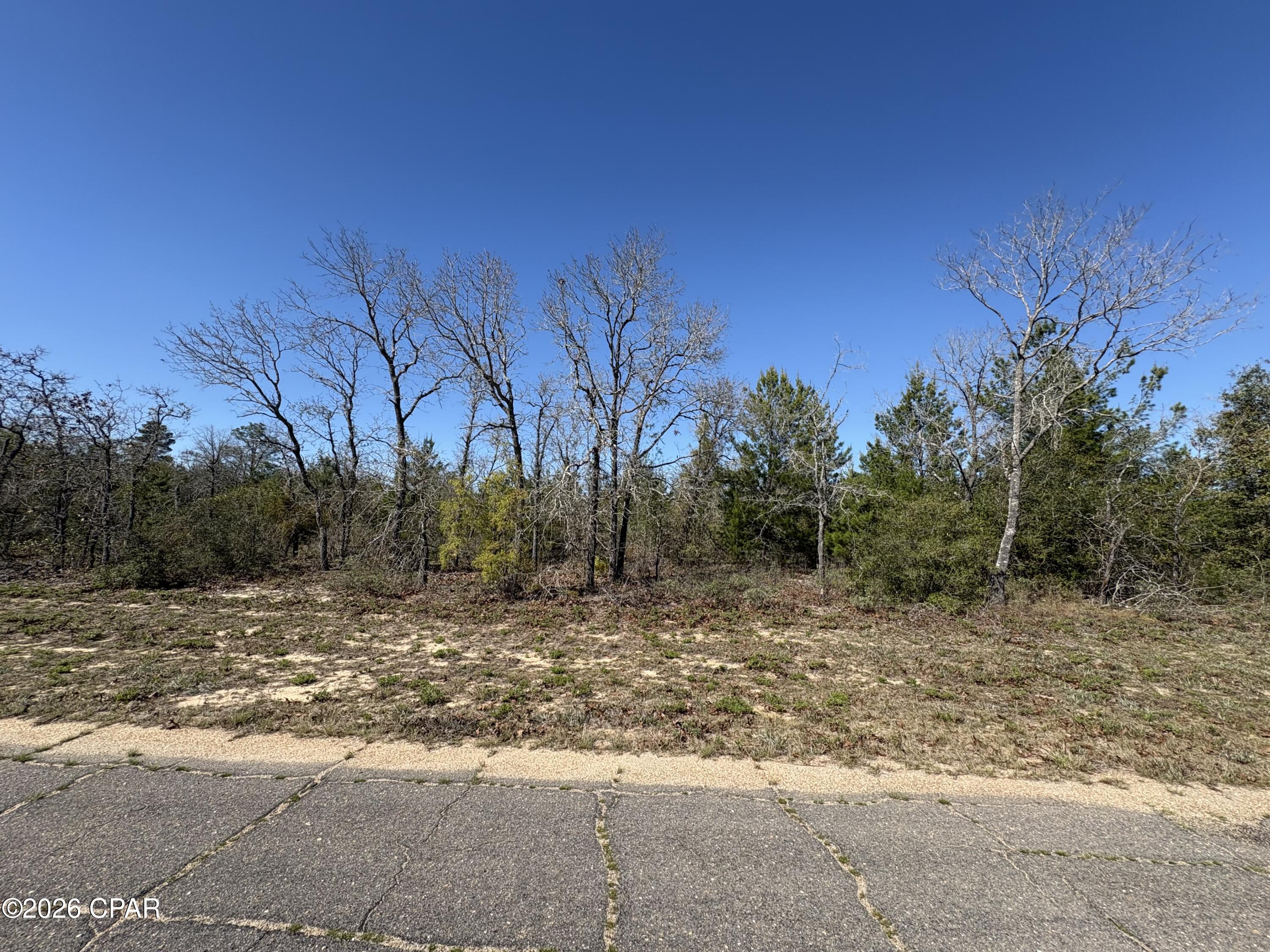 Land in Chipley 3