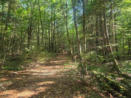 M20 L45 Green Road, Raymond, NH, 03077 | Card Image