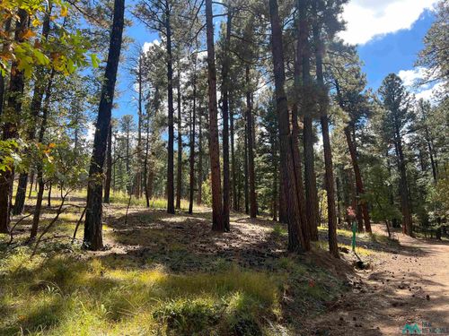 57 Forest Dr E, Rociada, NM, 87742-1040 | Card Image