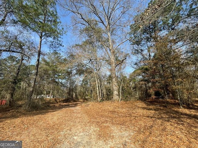 0 Oakland Heights Rd, Home with 0 bedrooms, 0 bathrooms and null parking in Sylvester GA | Image 7