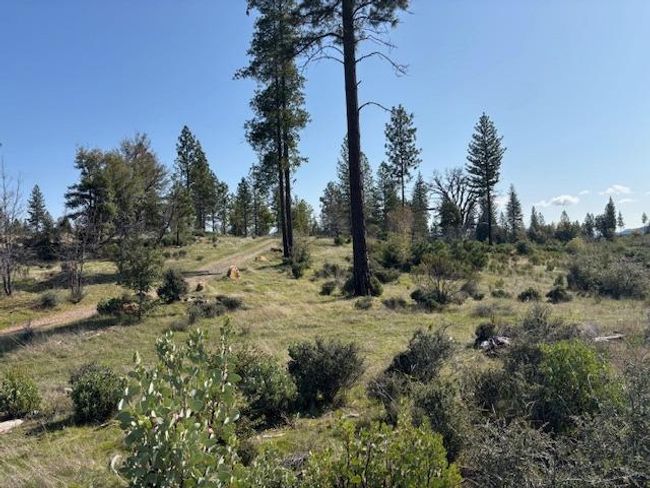19292 Shawnee Trl, Home with 0 bedrooms, 0 bathrooms and null parking in Mokelumne Hill CA | Image 35