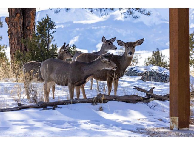 1699 Sangre Dr, House other with 2 bedrooms, 2 bathrooms and null parking in Westcliffe CO | Image 42