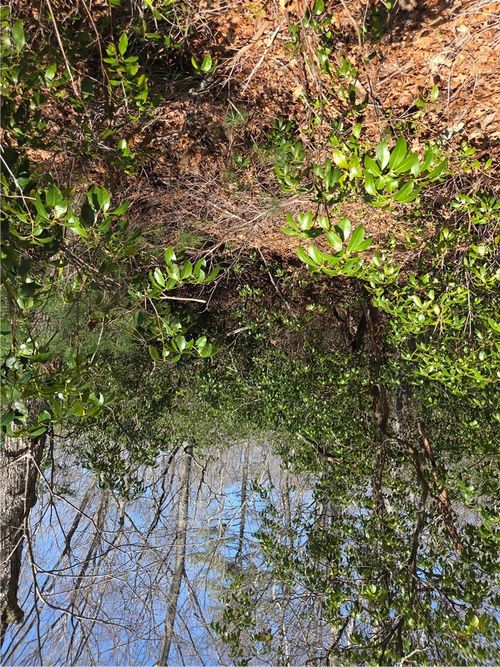 0 Nadia Ct, Hope Valley, RI, 02832 | Card Image