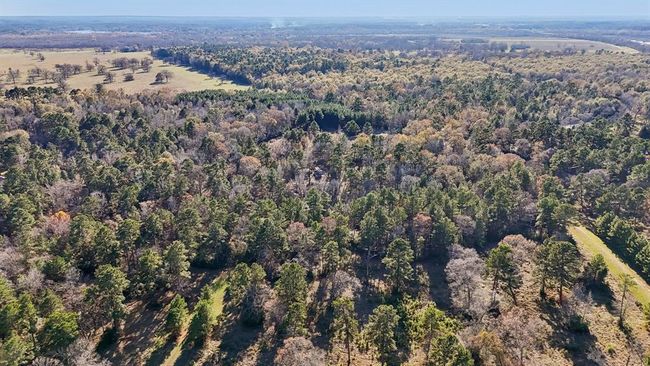 0 Bay Tree St, Home with 0 bedrooms, 0 bathrooms and null parking in Trinity TX | Image 9