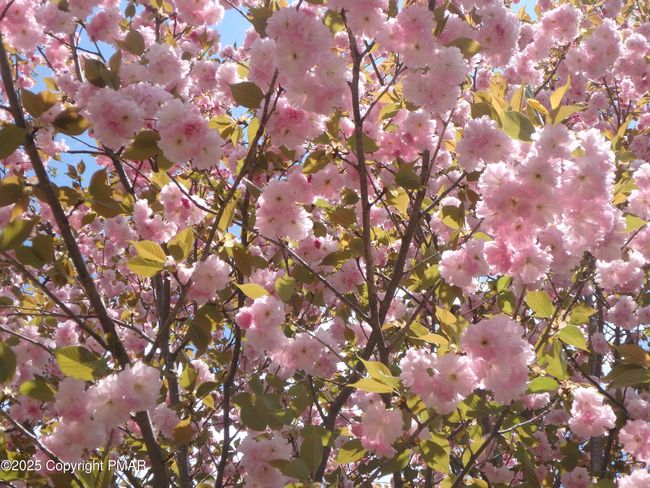 Spring | Image 35