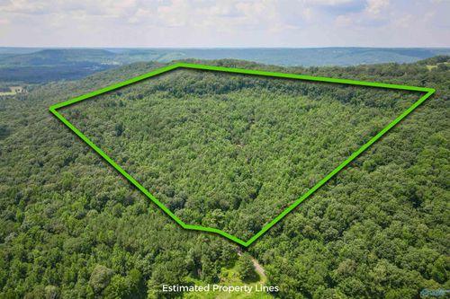 80 acres Pines Church Rd, Somerville, AL, 35670 | Card Image