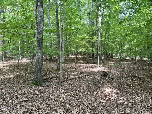 8 Woods Ridge Rd, Dandridge, TN, 37725 | Card Image
