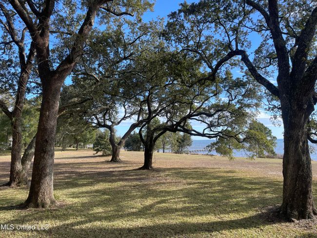 Lovely Yard | Image 6