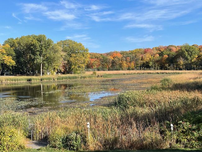 Fall Views | Image 55