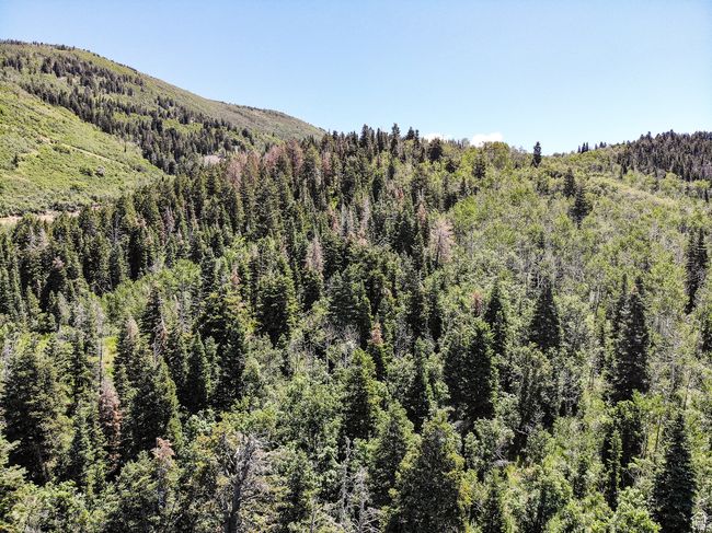 Property view of mountains with a view of trees | Image 29