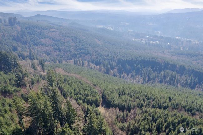 0 Ne Cedar Mist Rd, Home with 0 bedrooms, 0 bathrooms and null parking in AMBOY WA | Image 13