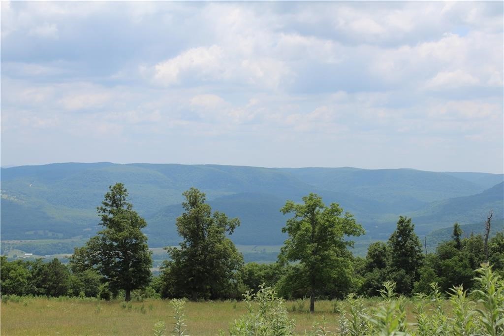 Land in Mount Judea 3