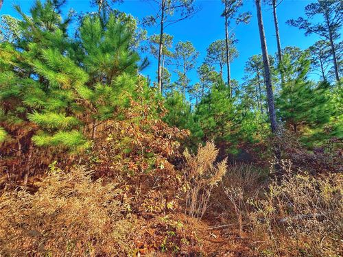 TBD An County Road 157, Palestine, TX, 75801 | Card Image