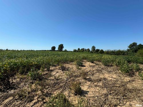 000 County Road 1375 N, Cisne, IL, 62823 | Card Image