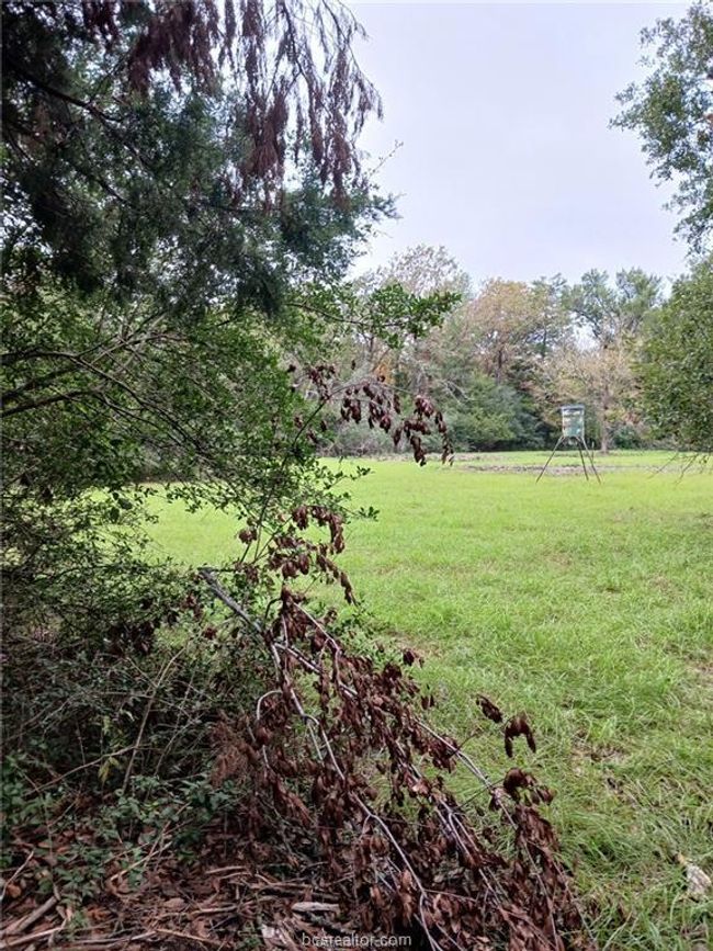 View of grassy yard | Image 12