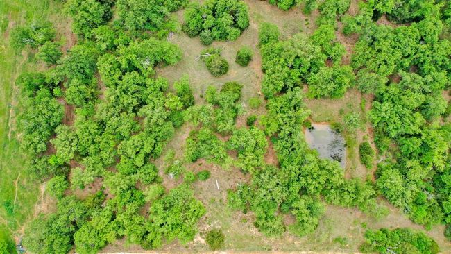 440 County Road 314, Home with 0 bedrooms, 0 bathrooms and 2 parking in Milano TX | Image 21