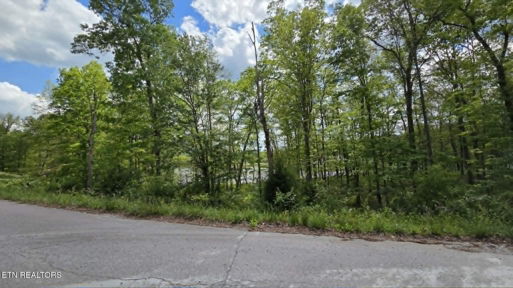 Land in Crossville 3