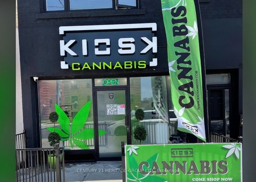 {{alt}} | Card Image