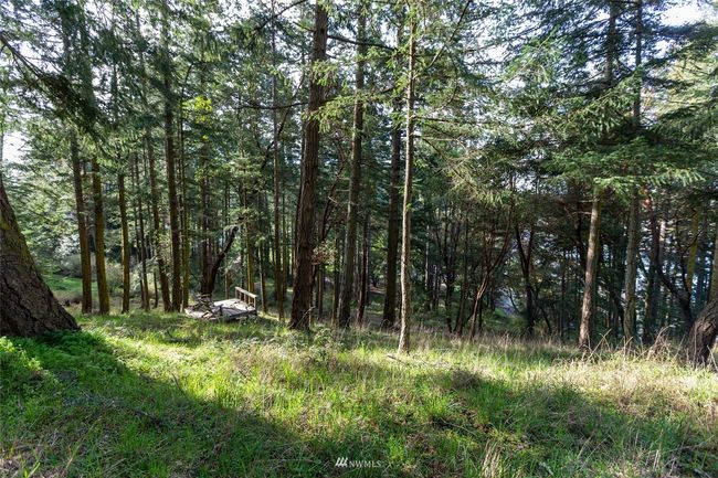 0 Afterglow Dr, Home with 0 bedrooms, 0 bathrooms and null parking in Friday Harbor WA | Image 14