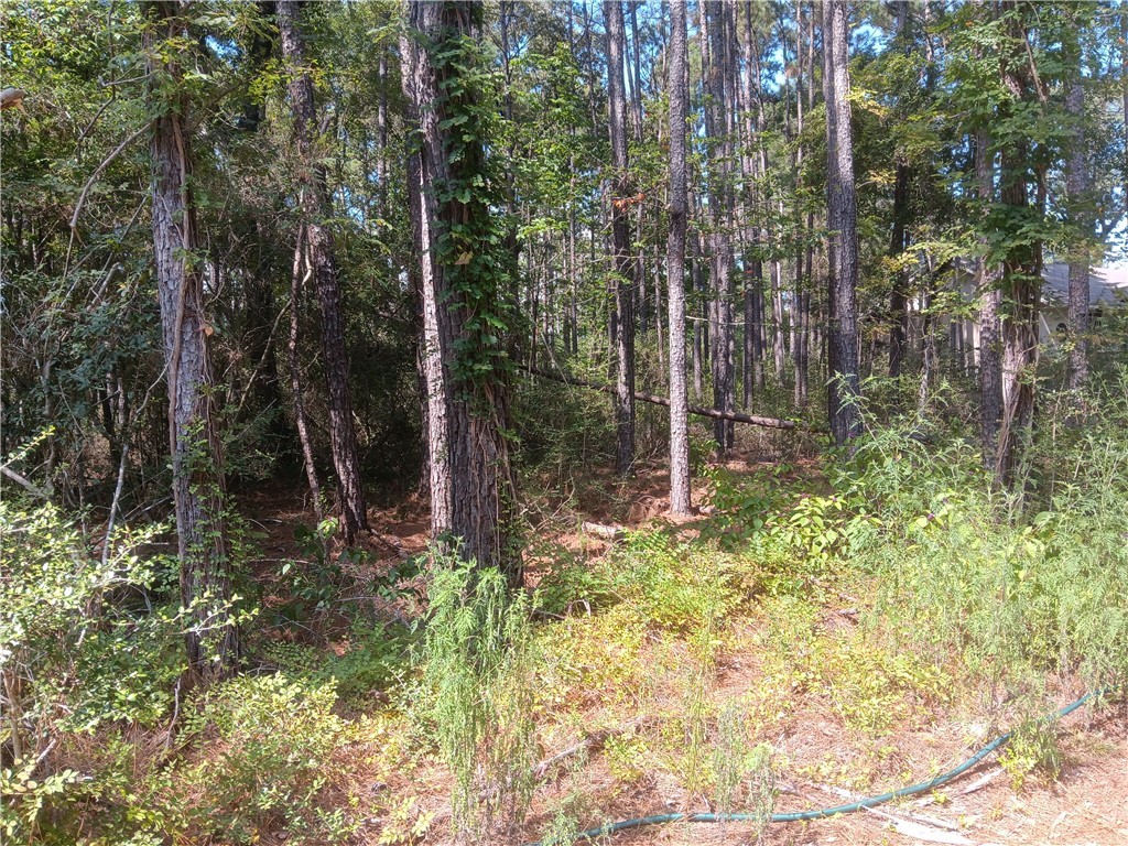 Land in Plantersville 4