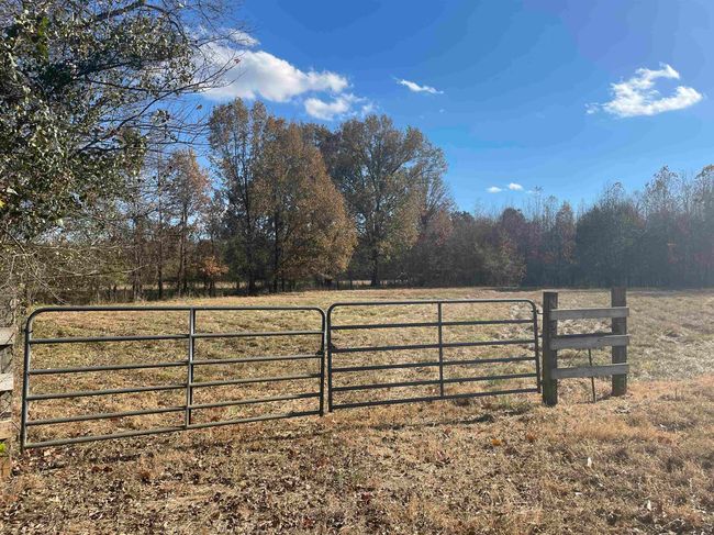 0000 Highway 56, Home with 0 bedrooms, 0 bathrooms and null parking in Russellville AL | Image 5