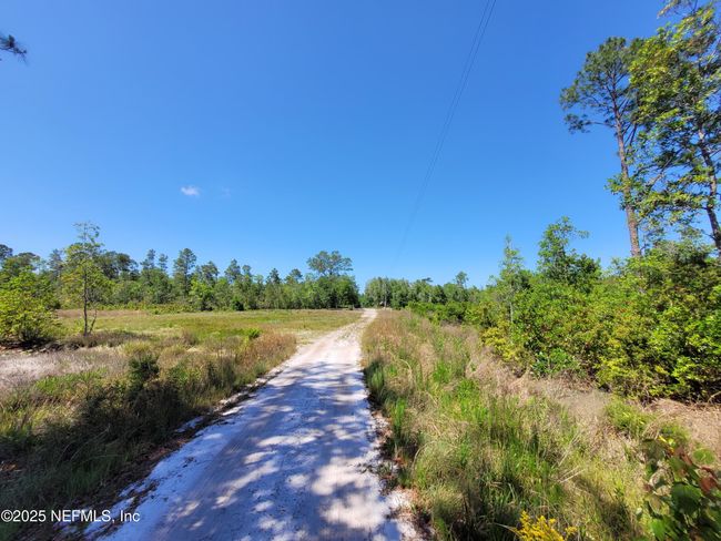 2155 State Road 40, Home with 0 bedrooms, 0 bathrooms and null parking in De Leon Springs FL | Image 6
