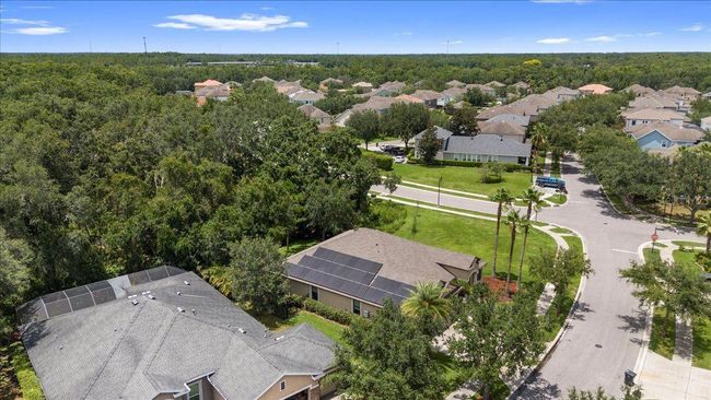 20020 Outpost Point Dr, House other with 4 bedrooms, 3 bathrooms and null parking in TAMPA FL | Image 73