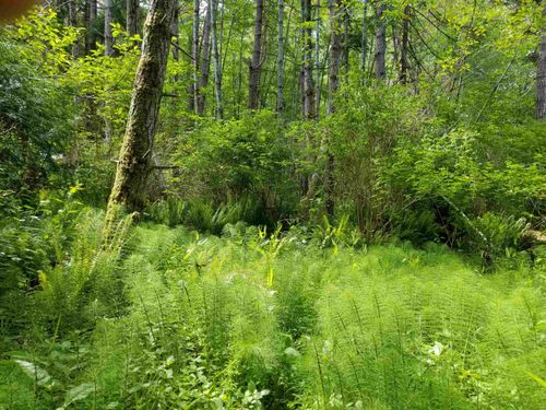 lot-1-DL66 Porlier Pass Rd, Galiano Island, BC, V0N1P0 | Card Image