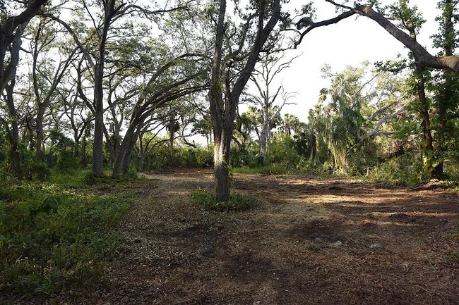7610 Anna Ave, Home with 0 bedrooms, 0 bathrooms and null parking in GIBSONTON FL | Image 7
