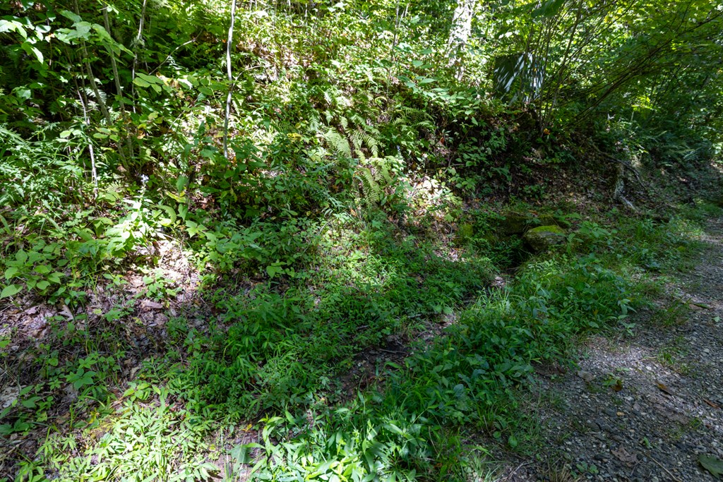 Land in Cullowhee 4