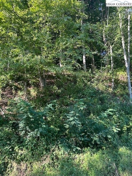 563 Rock Creek Rd, Creston, NC, 28615-9105 | Card Image