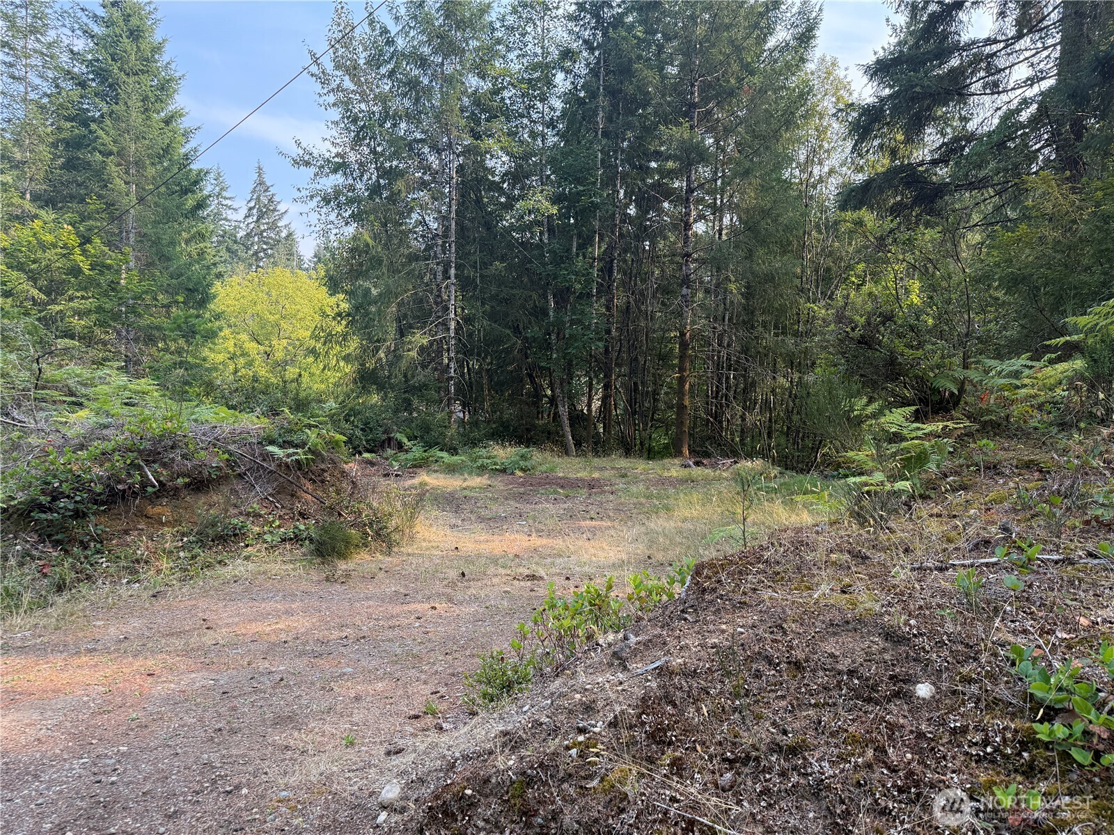 Land in Shelton 3