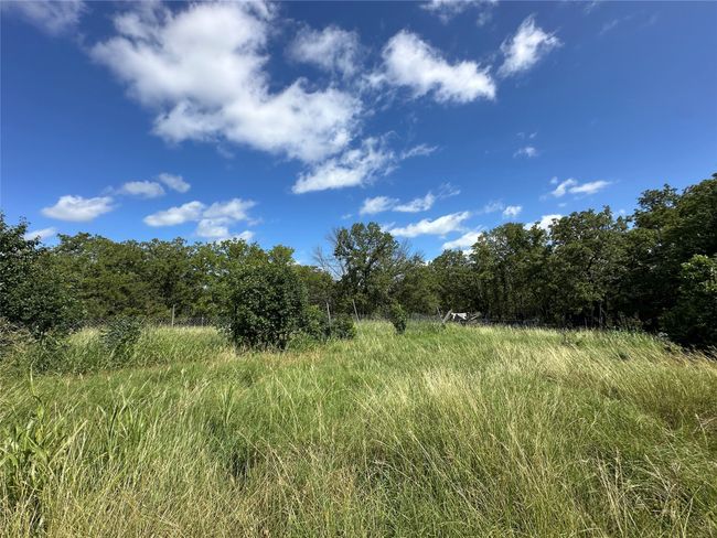 View of tree filled area | Image 11