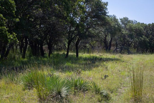 3262 Kc 442, Home with 0 bedrooms, 0 bathrooms and null parking in Harper TX | Image 10
