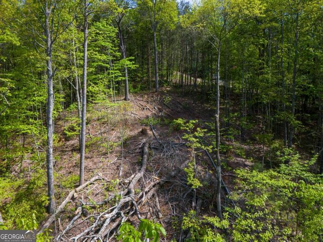 LOT 73 Mountain View Road, Home with 0 bedrooms, 0 bathrooms and null parking in Ellijay GA | Image 11
