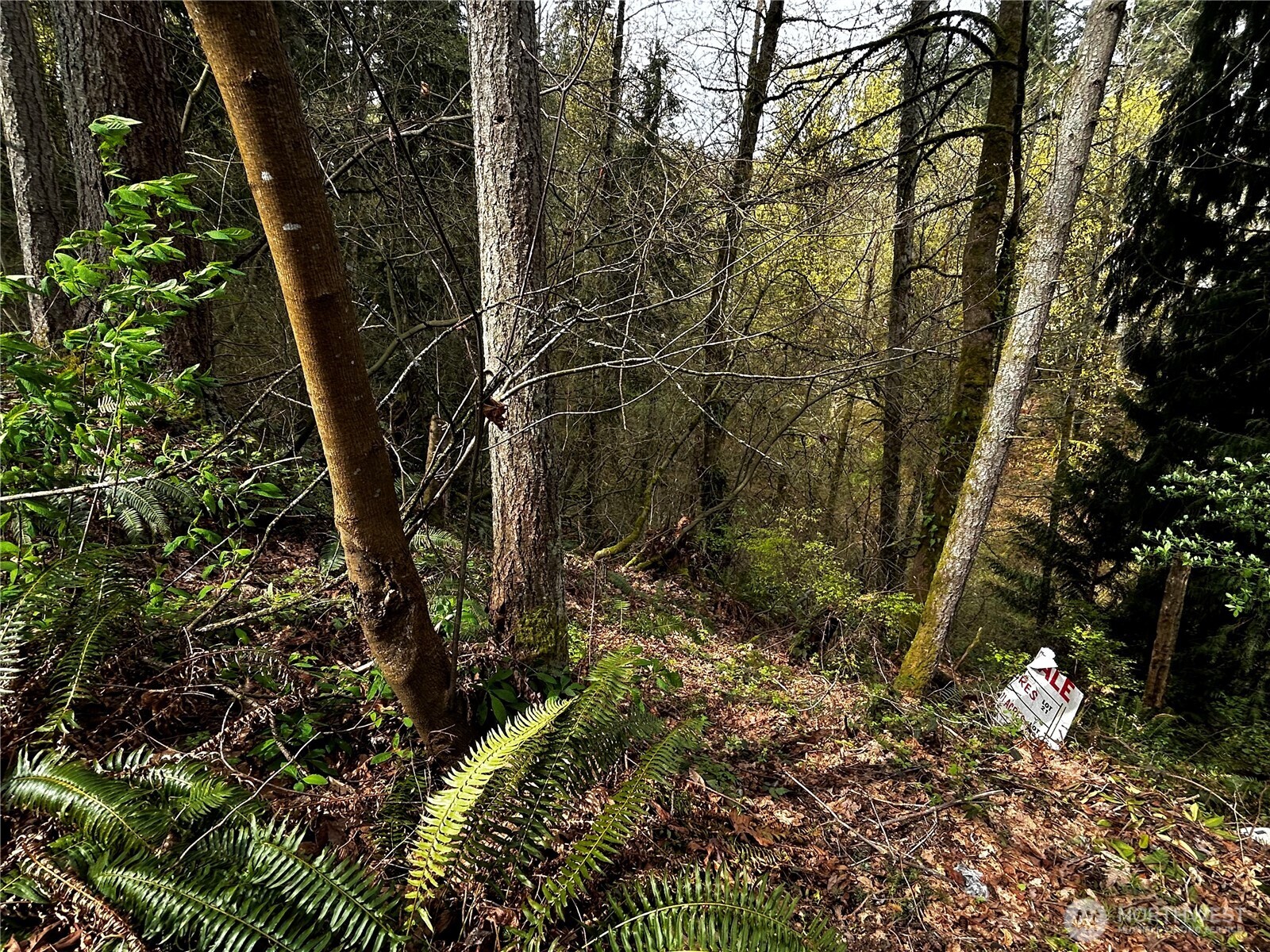 Land in Bothell 4