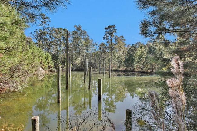 Pond has pilings - ready for you to build your pier | Image 40
