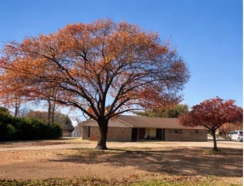 5703 Pecan Grove Dr, Sachse, TX, 75048-2811 | Card Image