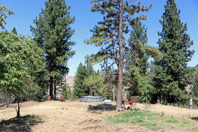 View of yard | Image 8