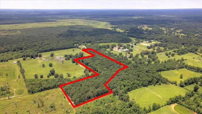 00 Lloyd Fregia Road, Home with 0 bedrooms, 0 bathrooms and null parking in Batson TX | Image 12
